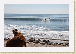 IMG_3070 * Kayak surfing at Topanga Beach * Kayak surfing at Topanga Beach * 5184 x 3456 * (7.35MB)