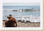 IMG_3074 * Kayak surfing at Topanga Beach * Kayak surfing at Topanga Beach * 5184 x 3456 * (7.09MB)