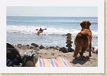 IMG_3077 * Kayak surfing at Topanga Beach * Kayak surfing at Topanga Beach * 5184 x 3456 * (6.09MB)