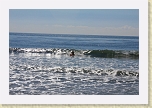 IMG_3082 * Kayak surfing at Topanga Beach * Kayak surfing at Topanga Beach * 5184 x 3456 * (8.67MB)