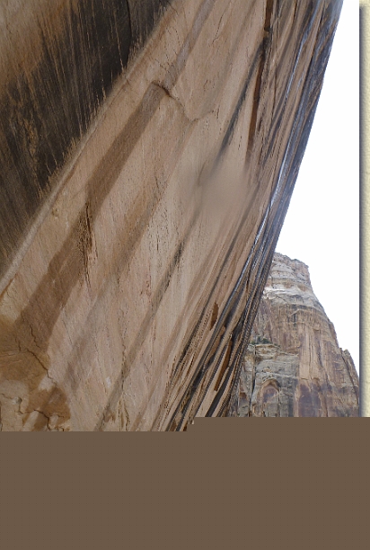 Click for the original image